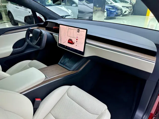 Tesla Model X — Фото автомобиля 12