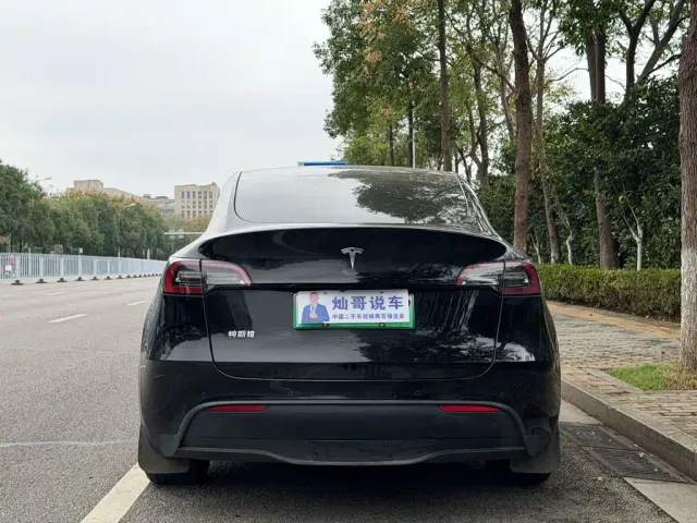 Tesla Model Y — Фото автомобиля 6