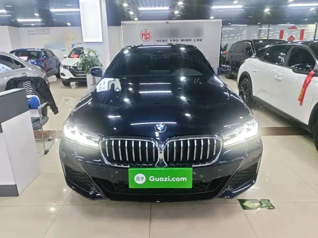 BMW 5 Series — Фото автомобиля 2