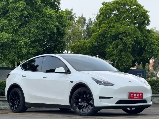 Tesla Model Y — Фото автомобиля 3