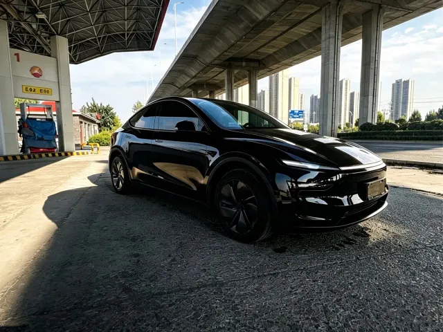 Tesla Model Y — Фото автомобиля 5