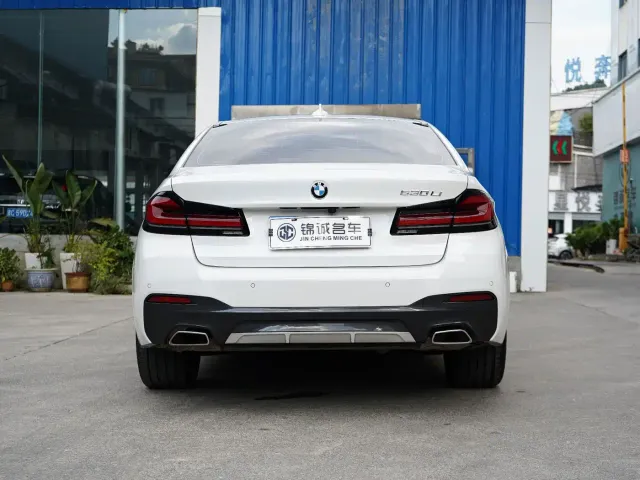 BMW 5 Series — Фото автомобиля 8