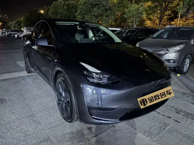 Tesla Model Y — Фото автомобиля 3