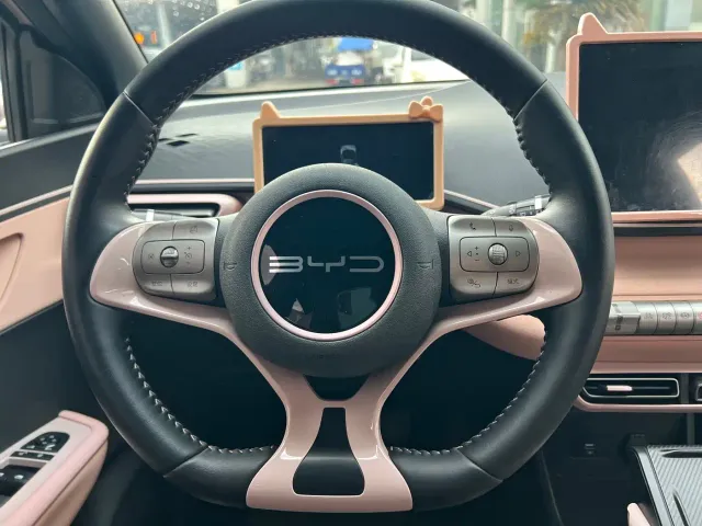BYD Seagull — Фото автомобиля 14