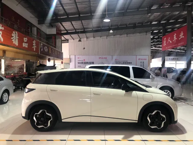 BYD Dolphin 2021 Model 405km Fashion Edition — Фото автомобиля 4