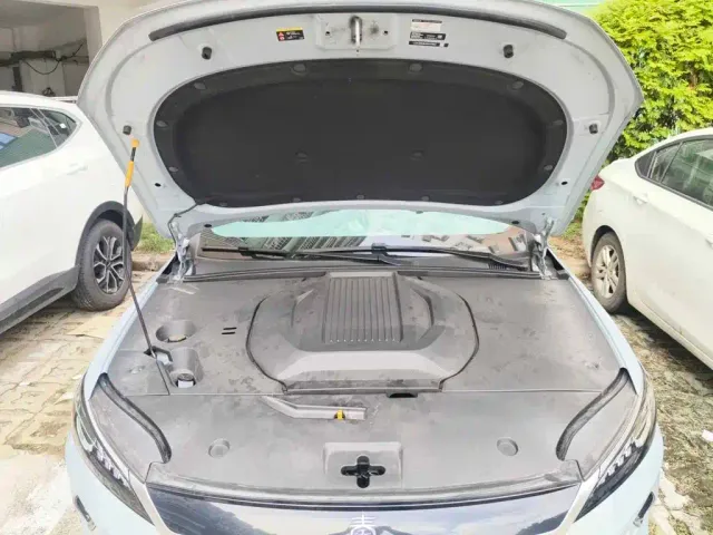 BYD Qin PLUS 2025 EV Smart Drive Edition 510KM Leading Type — Фото автомобиля 3