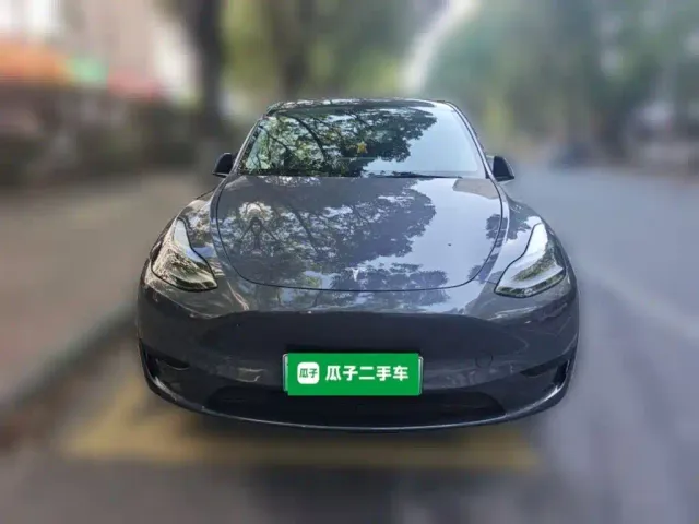 Tesla Model Y — Фото автомобиля 2
