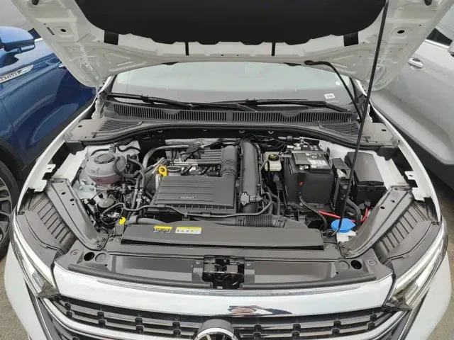 Volkswagen Sagitar — Фото автомобиля 19