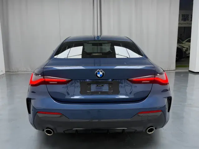 BMW 4 Series — Фото автомобиля 11