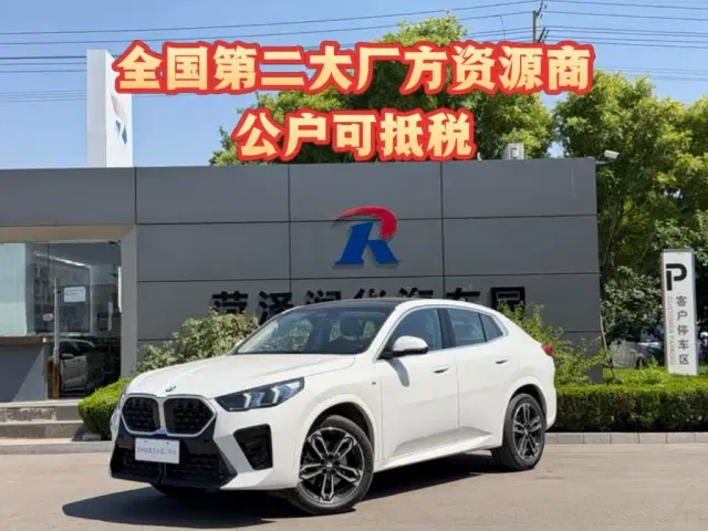 BMW X2 — Фото автомобиля 2
