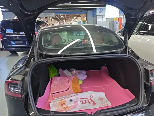 Tesla Model 3 — Фото автомобиля 18