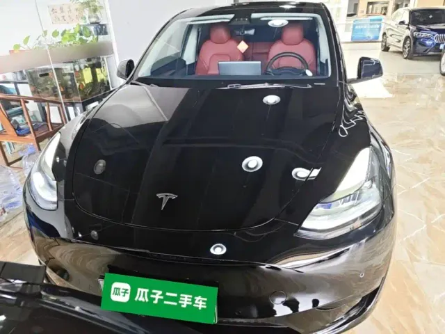 Tesla Model Y — Фото автомобиля 2