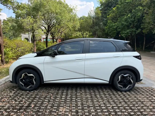 BYD Dolphin — Фото автомобиля 13