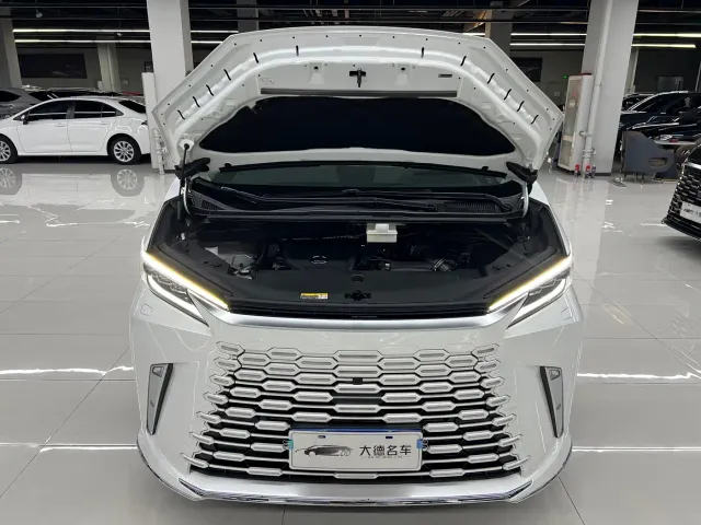 Lexus LM — Фото автомобиля 28