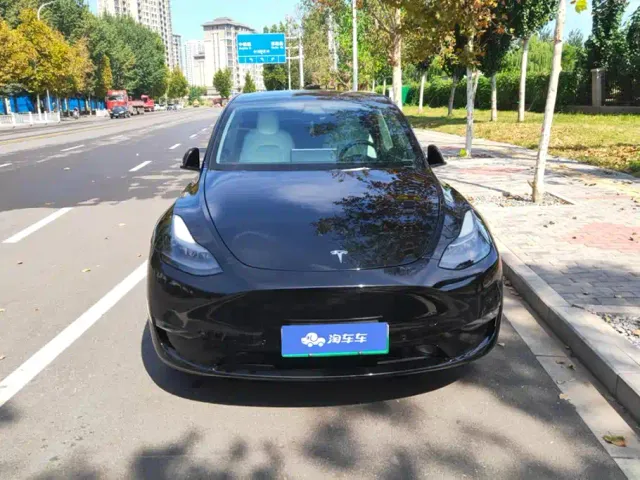 Tesla Model Y — Фото автомобиля 2