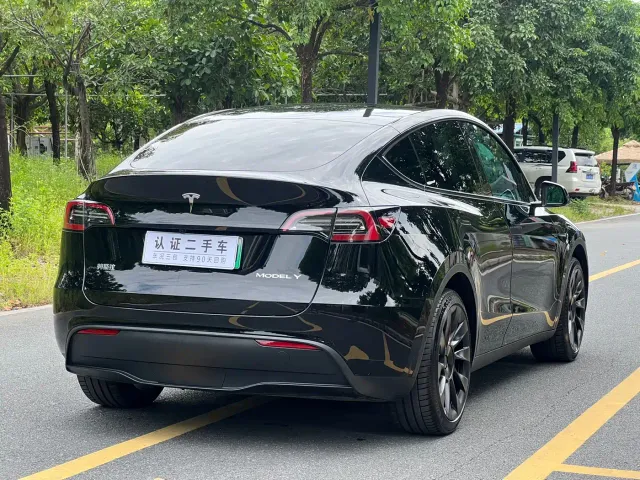 Tesla Model Y — Фото автомобиля 9