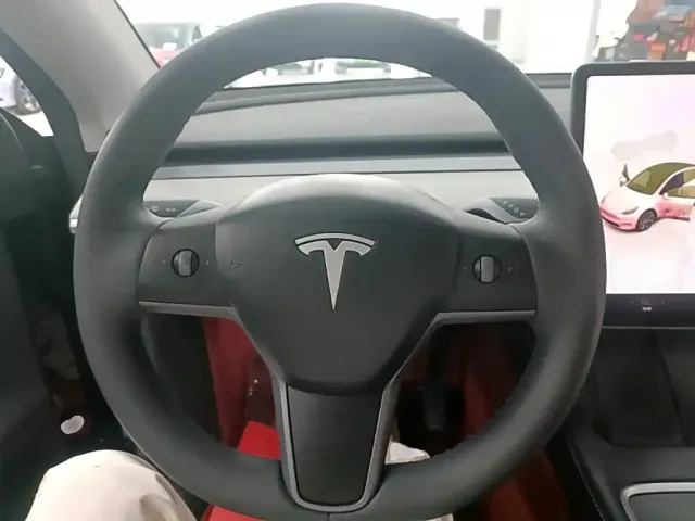 Tesla Model Y — Фото автомобиля 10