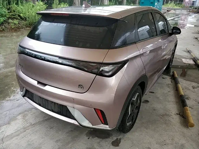 BYD Dolphin — Фото автомобиля 6
