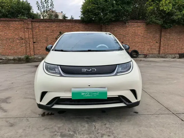 BYD Dolphin — Фото автомобиля 2