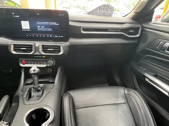 Ford Mustang — Фото автомобиля 30