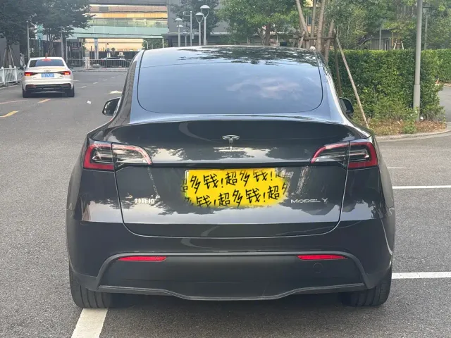 Tesla Model Y — Фото автомобиля 20