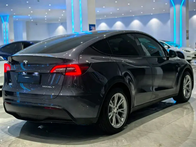 Tesla Model Y — Фото автомобиля 4