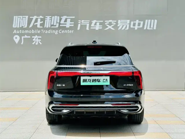 Hongqi E-HS9 — Фото автомобиля 5