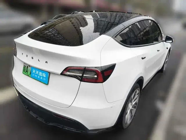 Tesla Model Y — Фото автомобиля 2