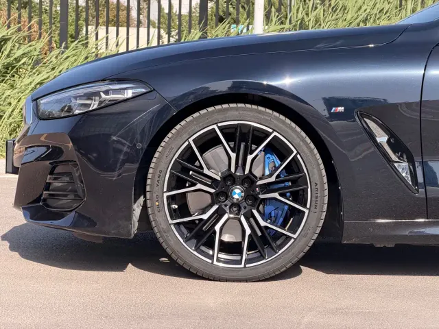 BMW 8 Series — Фото автомобиля 4