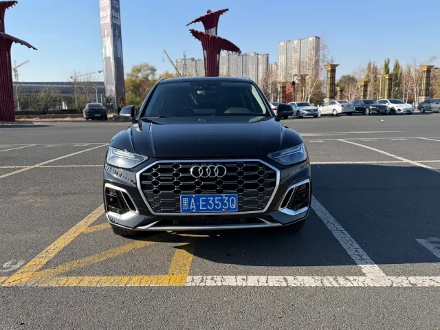 Audi Q5L — Фото автомобиля 2