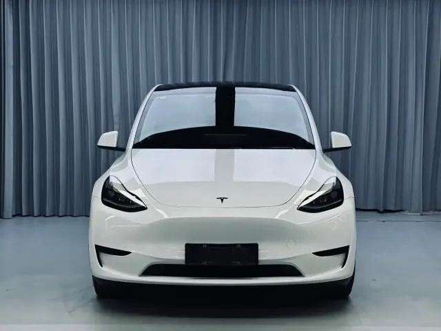 Tesla Model Y — Фото автомобиля 2