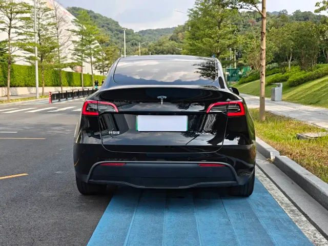 Tesla Model Y — Фото автомобиля 16