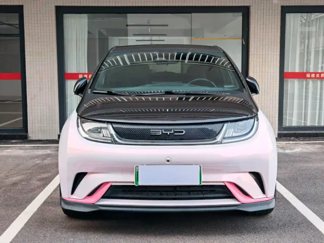 BYD Dolphin — Фото автомобиля 2
