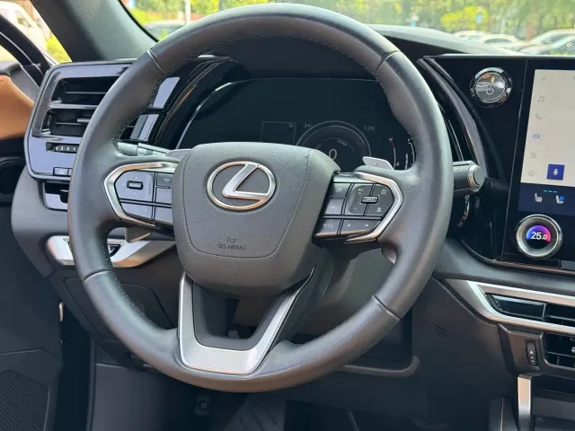 Lexus RX — Фото автомобиля 9