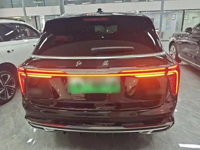 Hongqi E-HS9 — Фото автомобиля 5