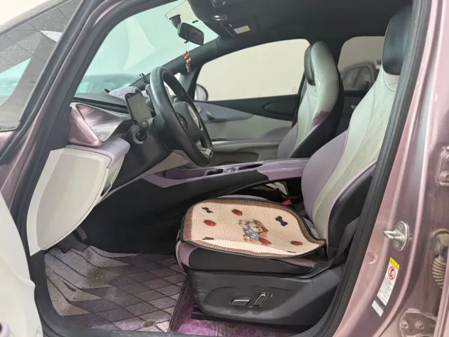BYD Dolphin — Фото автомобиля 2