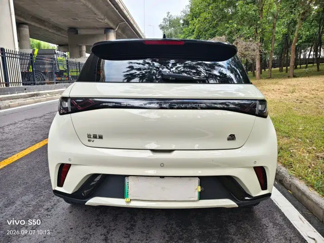 BYD Dolphin — Фото автомобиля 4