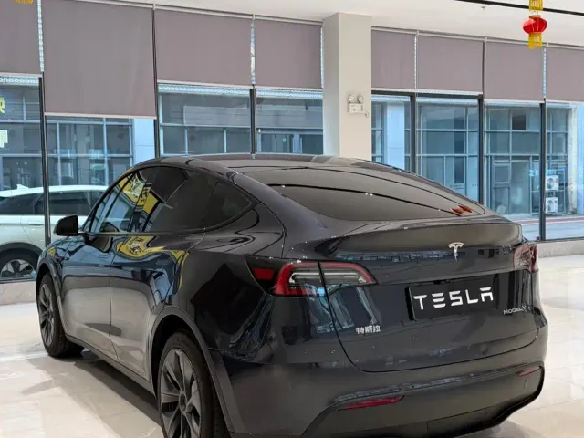 Tesla Model Y — Фото автомобиля 8