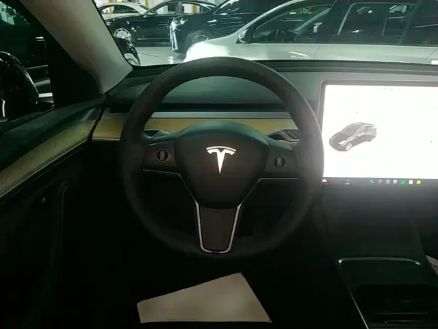 Tesla Model Y — Фото автомобиля 10