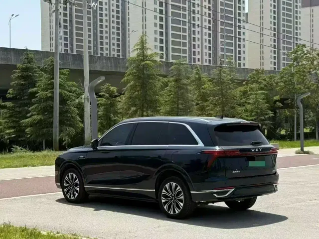 Wey Lanshan — Фото автомобиля 9