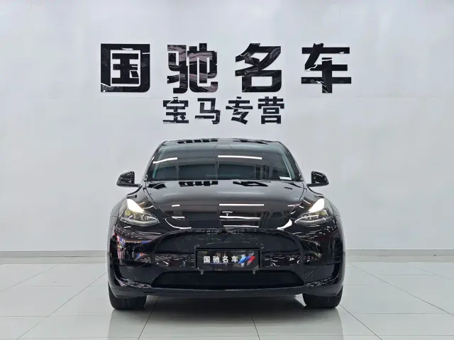 Tesla Model Y — Фото автомобиля 2