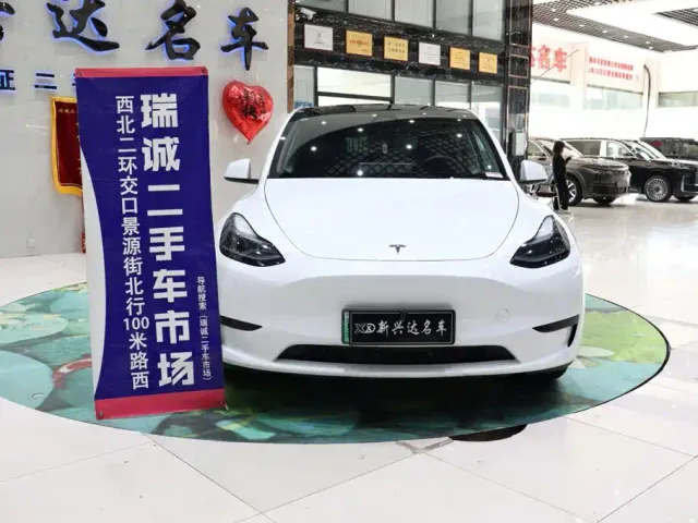 Tesla Model Y — Фото автомобиля 2