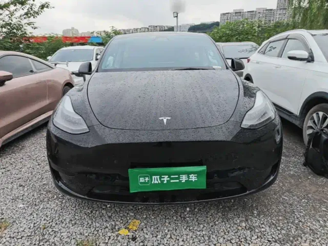 Tesla Model Y — Фото автомобиля 2