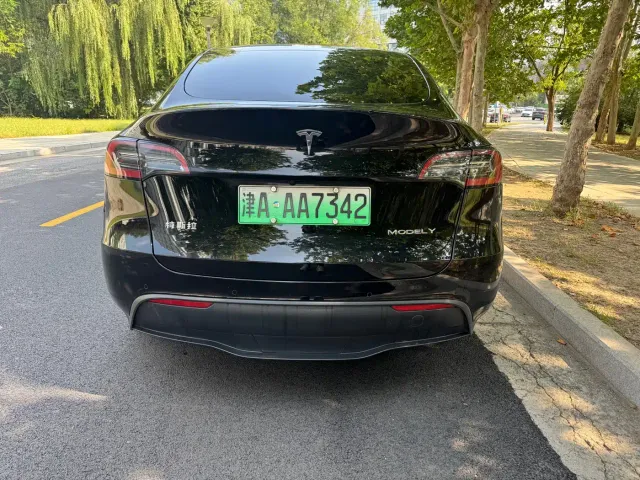 Tesla Model Y — Фото автомобиля 4