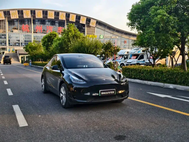 Tesla Model Y — Фото автомобиля 3