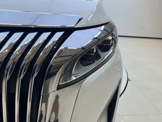Wey Alpine — Фото автомобиля 8