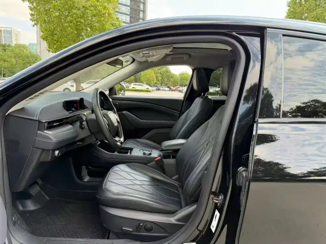 Ford Mustang Mach-E — Фото автомобиля 4