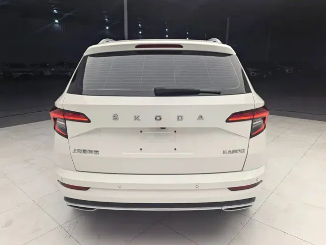 Skoda Karoq — Фото автомобиля 4