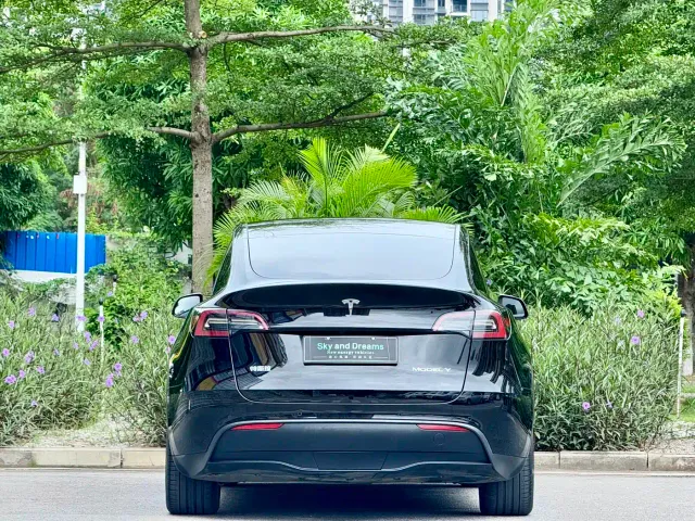 Tesla Model Y — Фото автомобиля 4