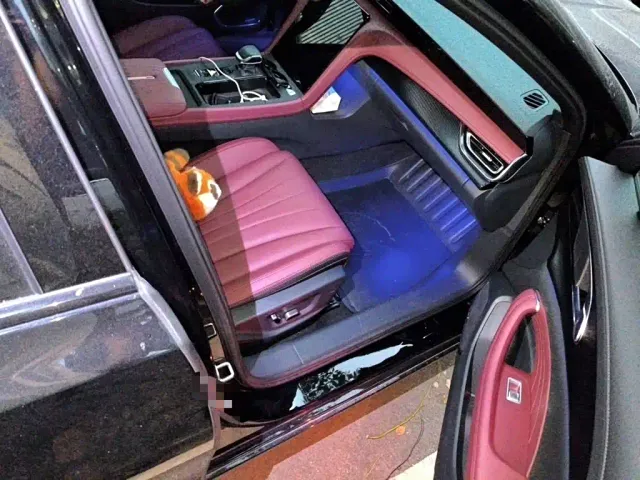 Hongqi H5 — Фото автомобиля 19